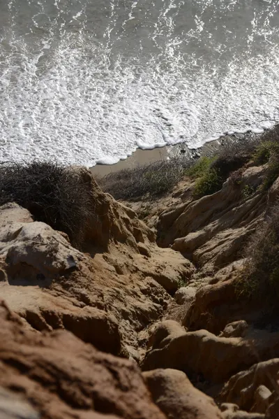 DSC_6992 (Large).JPG